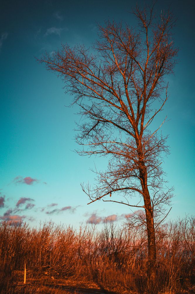 Photograph by Александр Авдеев