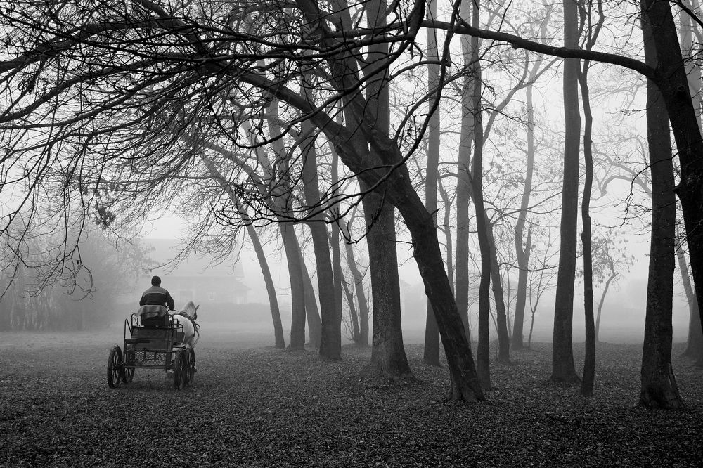 Photograph by SILVIJA BUTKOVIC