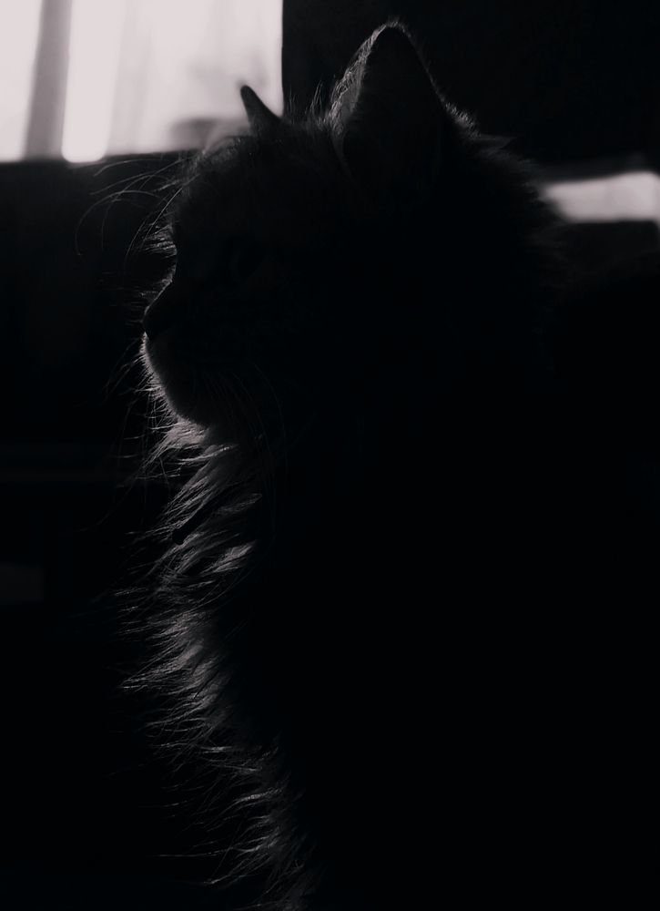 Photograph by Вероника Янина