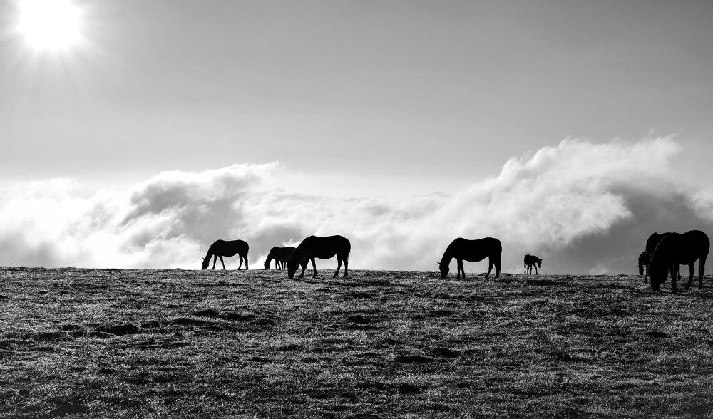 Photograph by Петър ПП