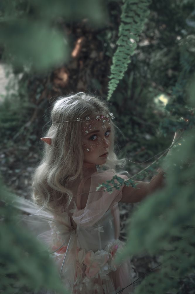 Photograph by Stella