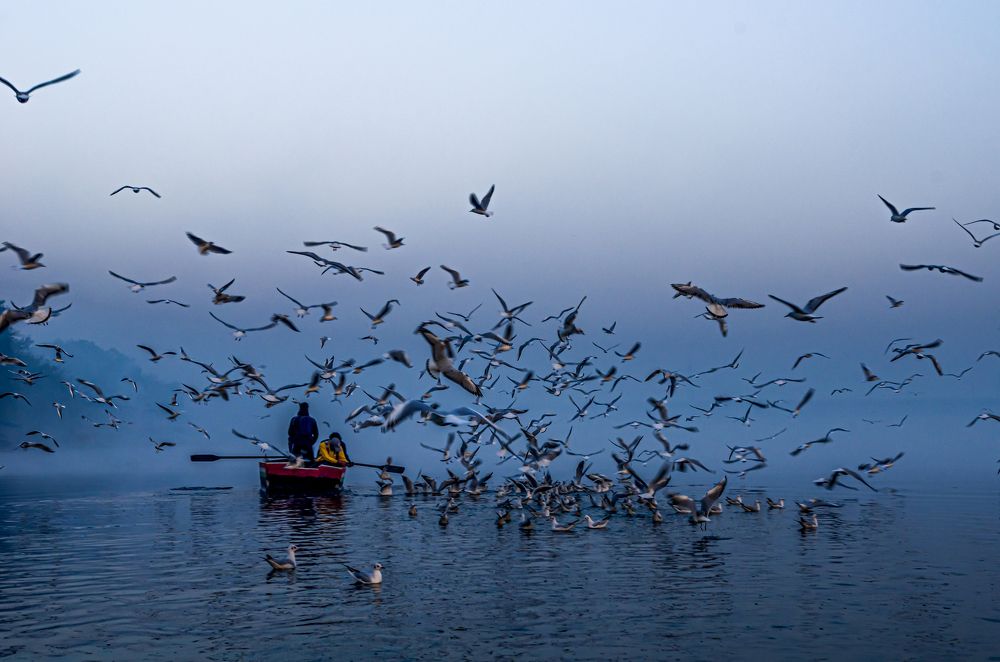 Photograph by Kshitij Patle