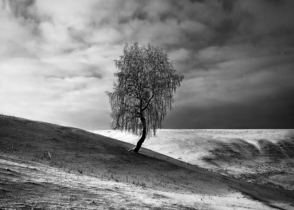 Величие одиночества...