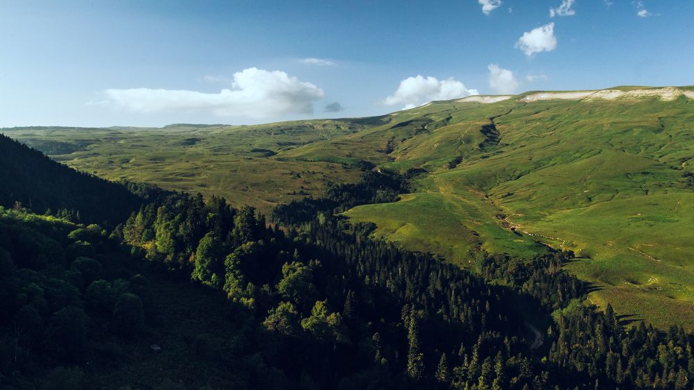 Photograph by Роман Никифоров