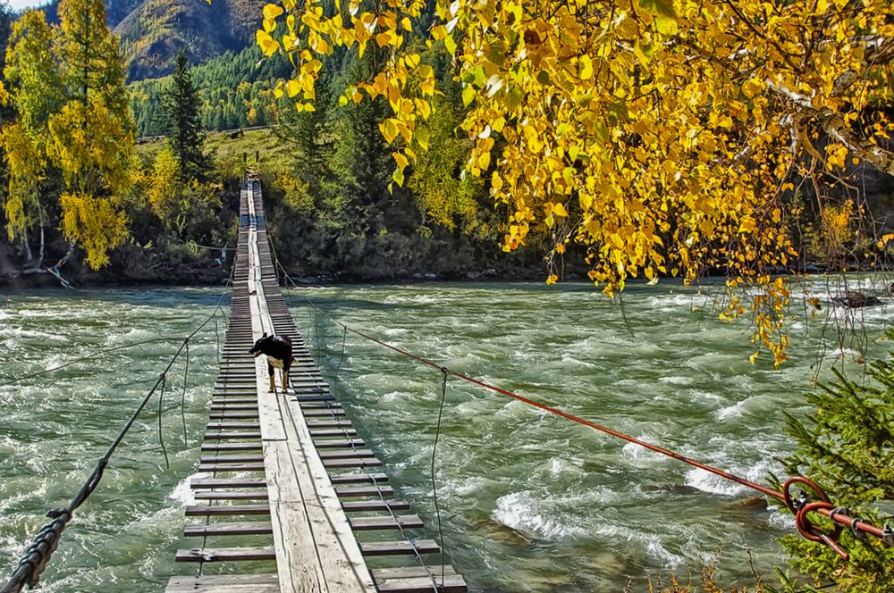 Photograph by Любовь clyu4eva lyubov