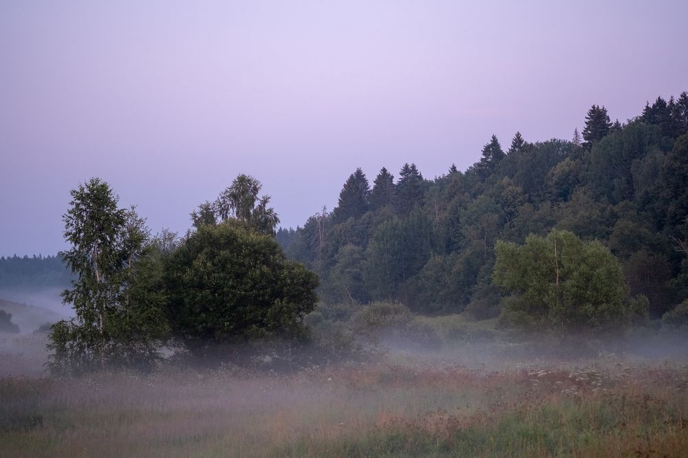 Photograph by Михаил Серебренников