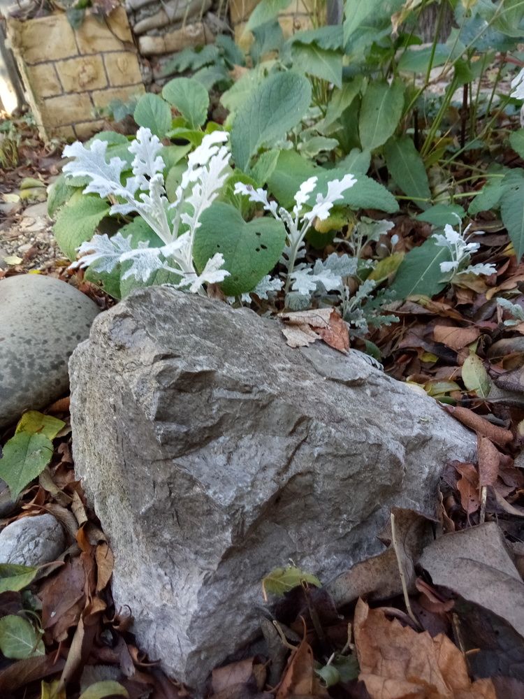 Photo #6788173