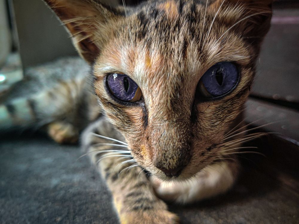 Photograph by shinlay shinas