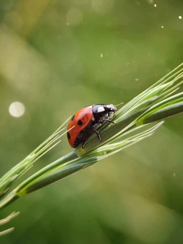Photograph by Настасья Сергеева