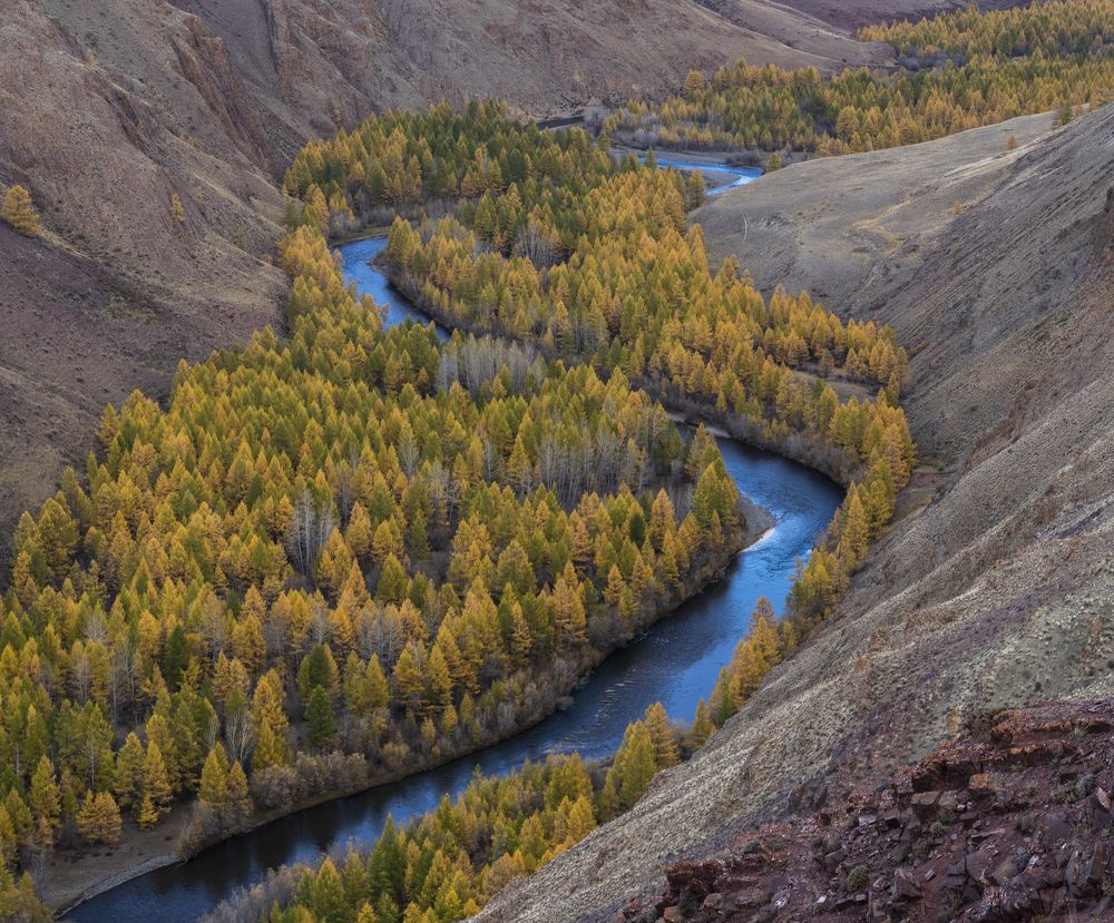 Фотография автора Олег Матроницкий