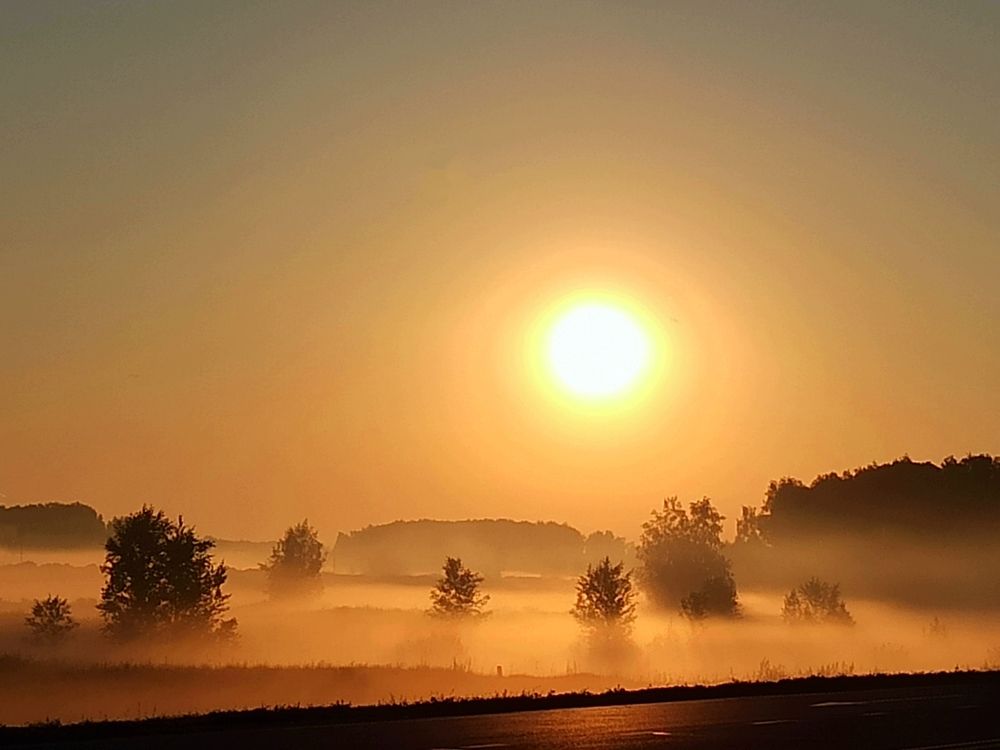 Photograph by Фурсова Людмила