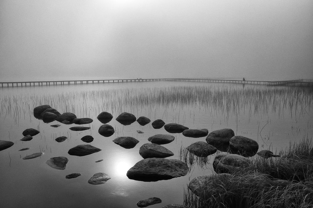 Фотография автора Елена Лаврова