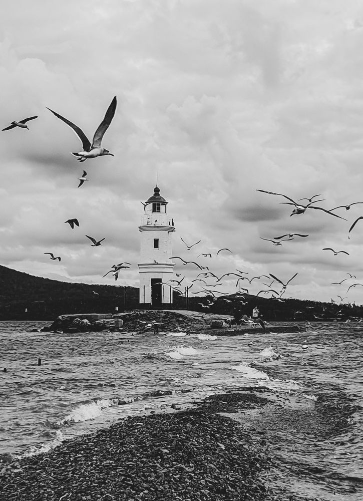 Photograph by ANASTASIYA NIKOLSKAYA