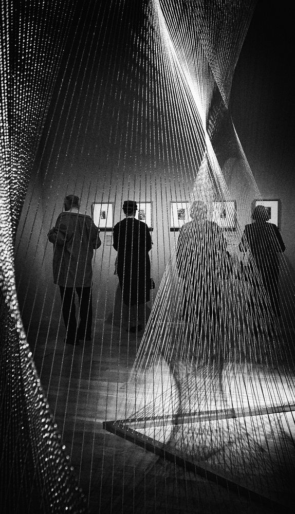 Фотография автора Елена Лаврова