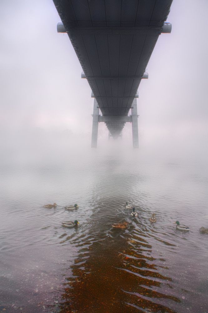 Photograph by Александр Пургин