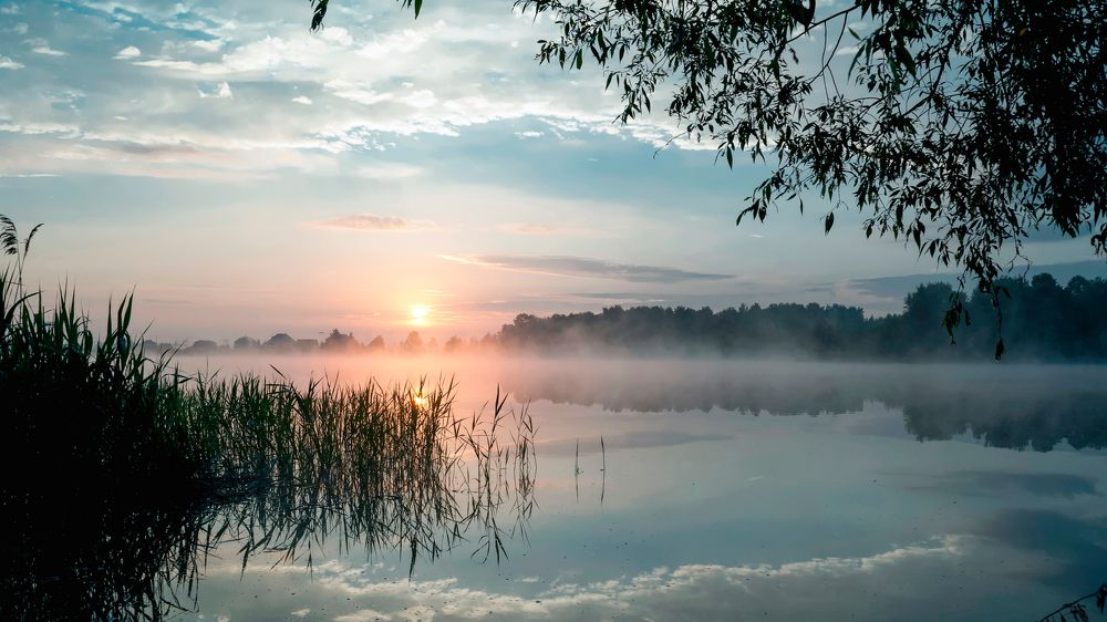 Photograph by Юрий Бичеров