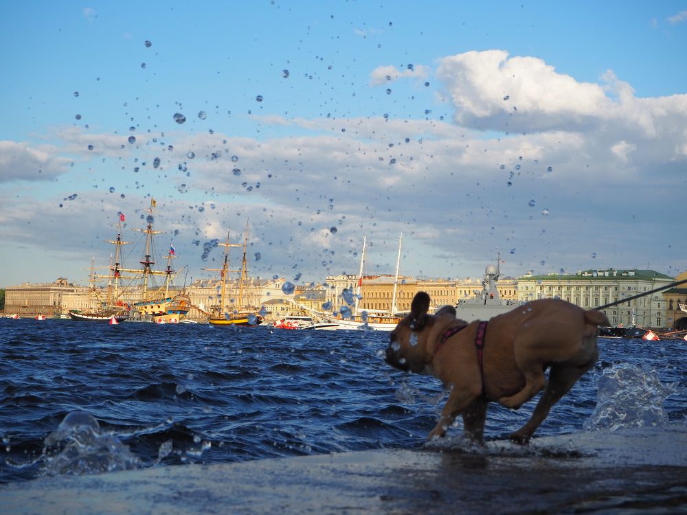 Photograph by Мария Шерих