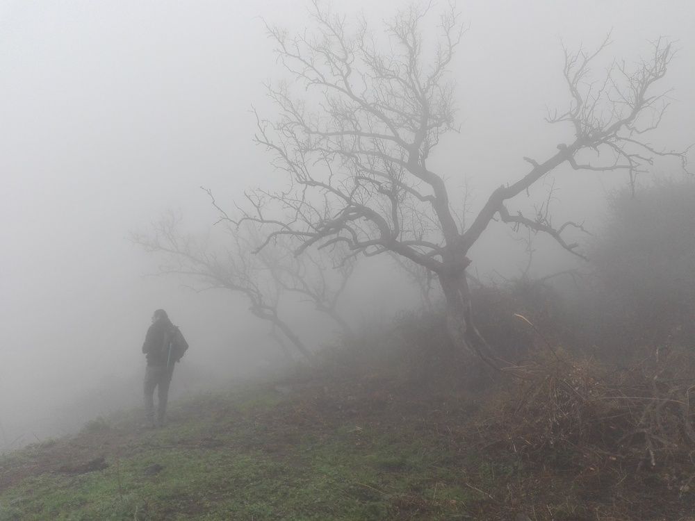 Photograph by MADJID MESSAOUD KHELIFI