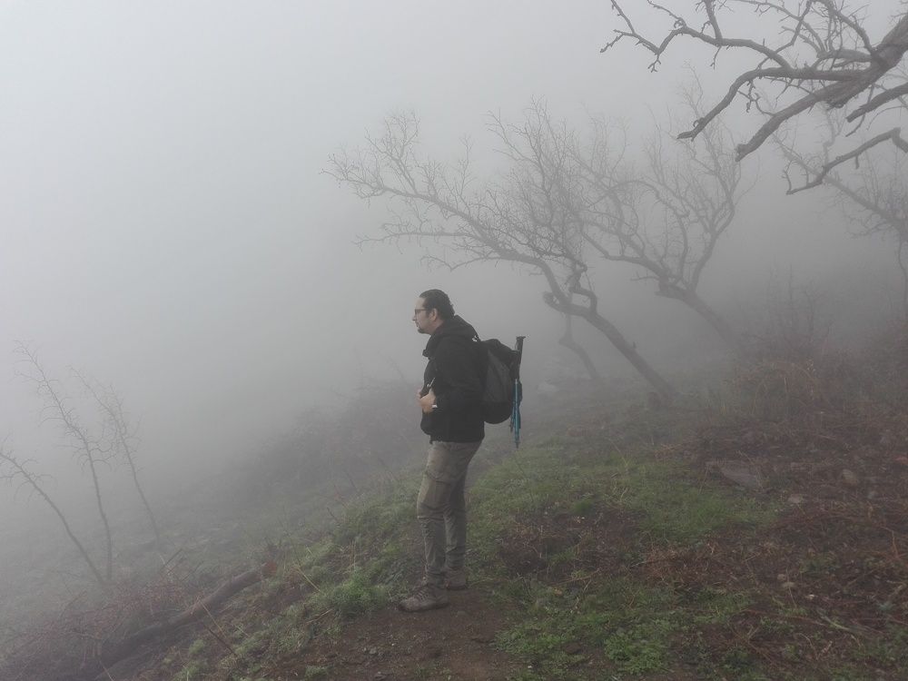 Photograph by MADJID MESSAOUD KHELIFI