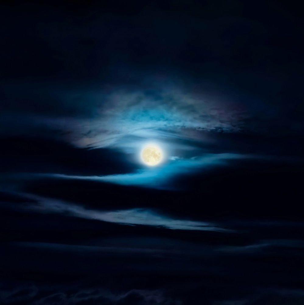 Волчье солнышко