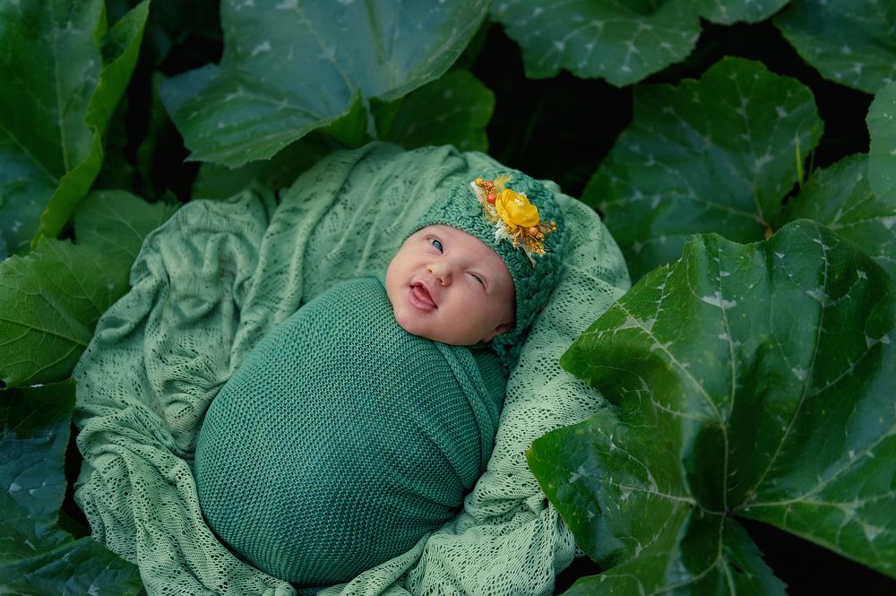 Photograph by Екатерина Горохова