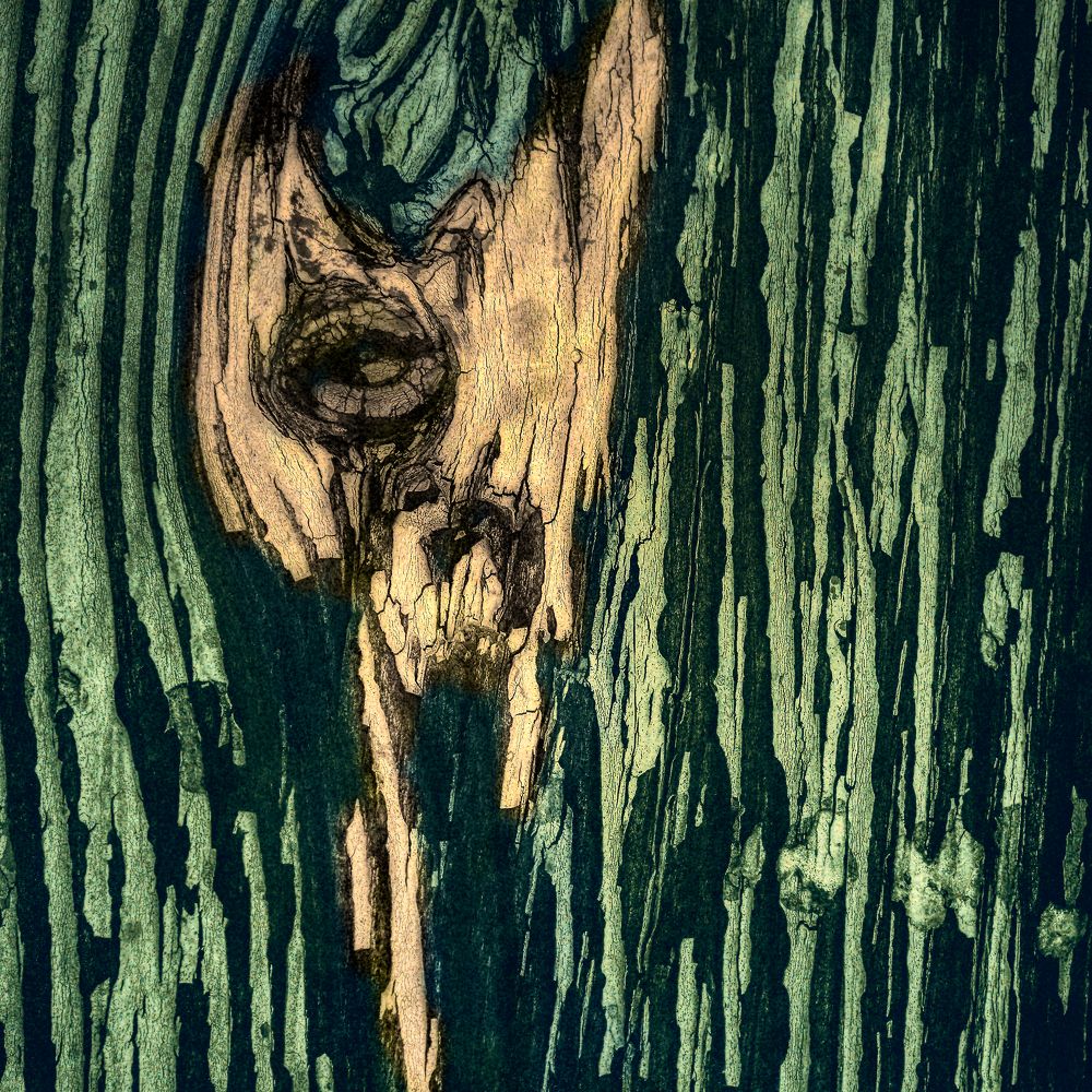 Another brick in the wall alan parker