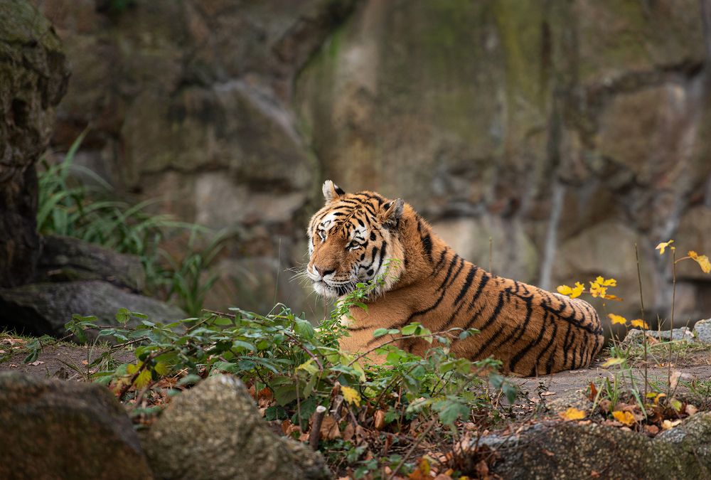 Photograph by Юлия Борт