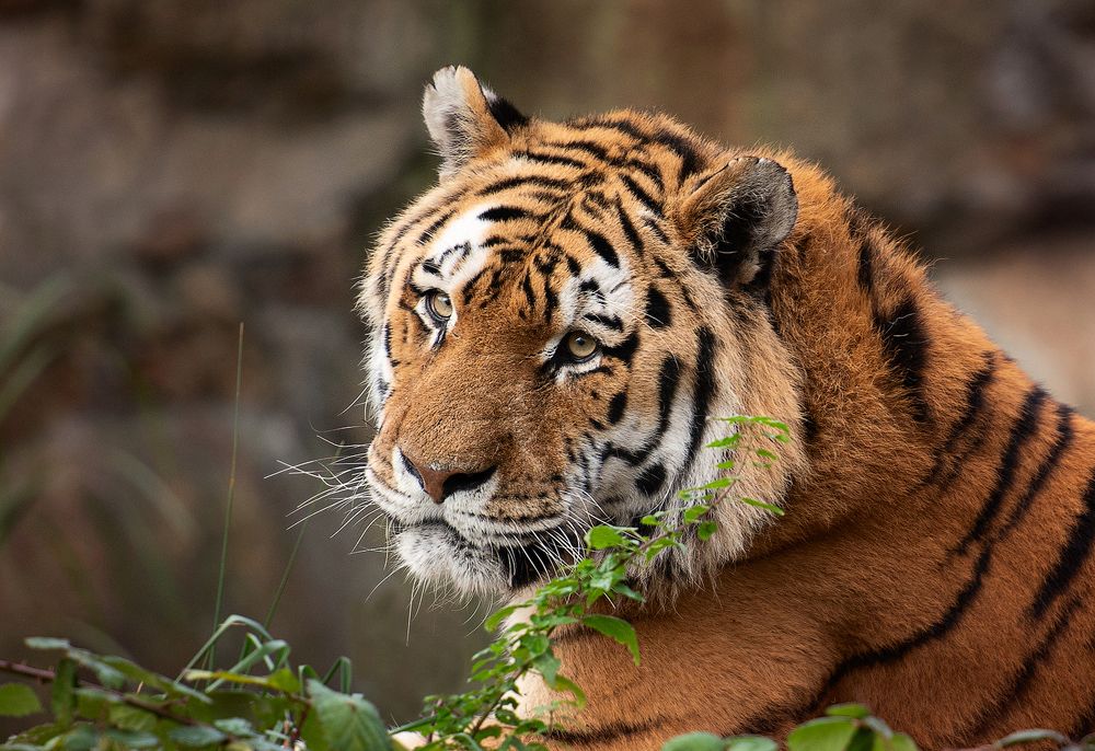 Photograph by Юлия Борт