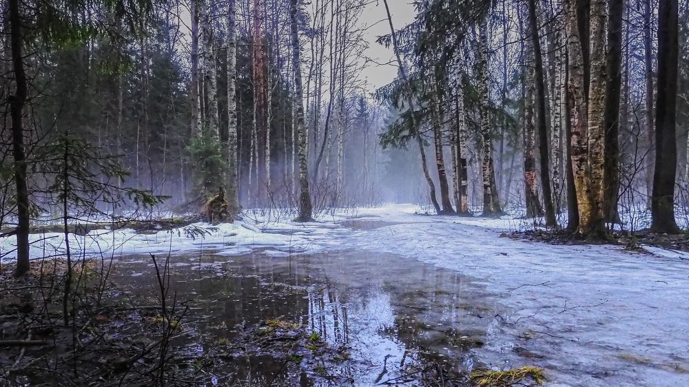 Photograph by Игорь Смирнов