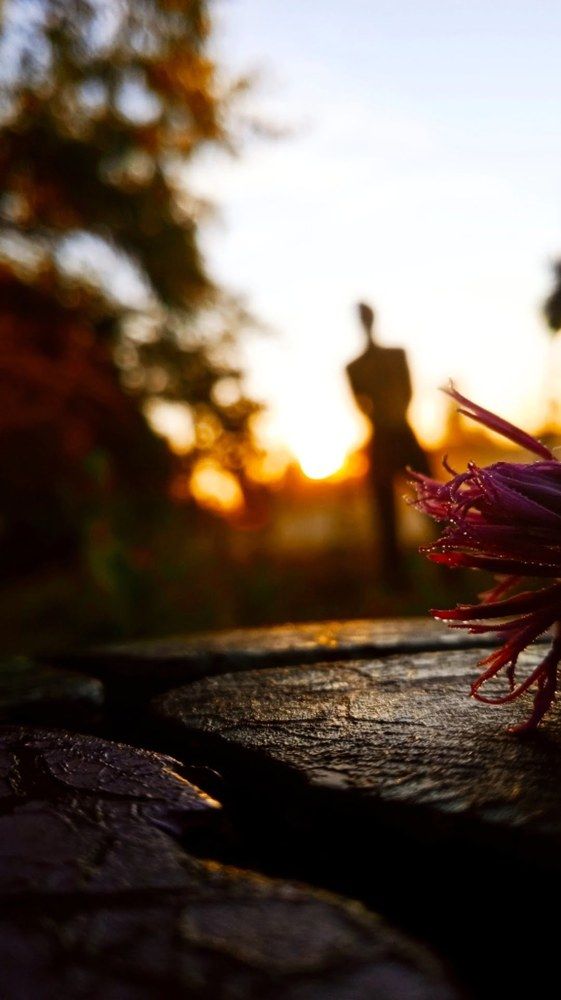 Photograph by Малинин Руслан