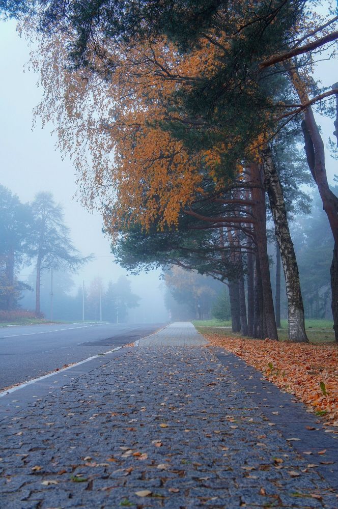 Фотография автора Юрий Тихонов