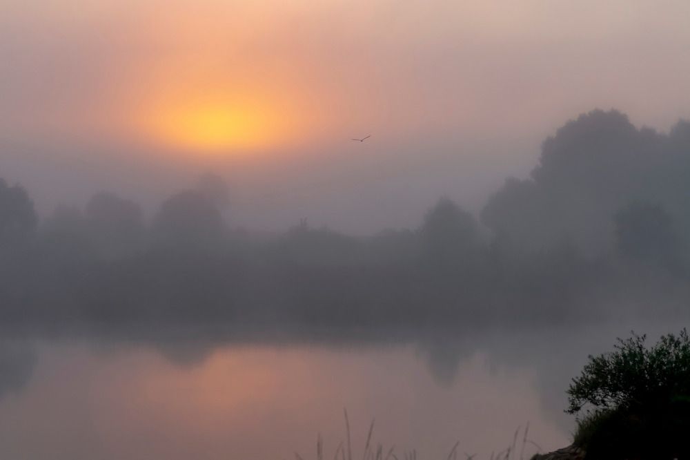 Photograph by Андрей Зуев