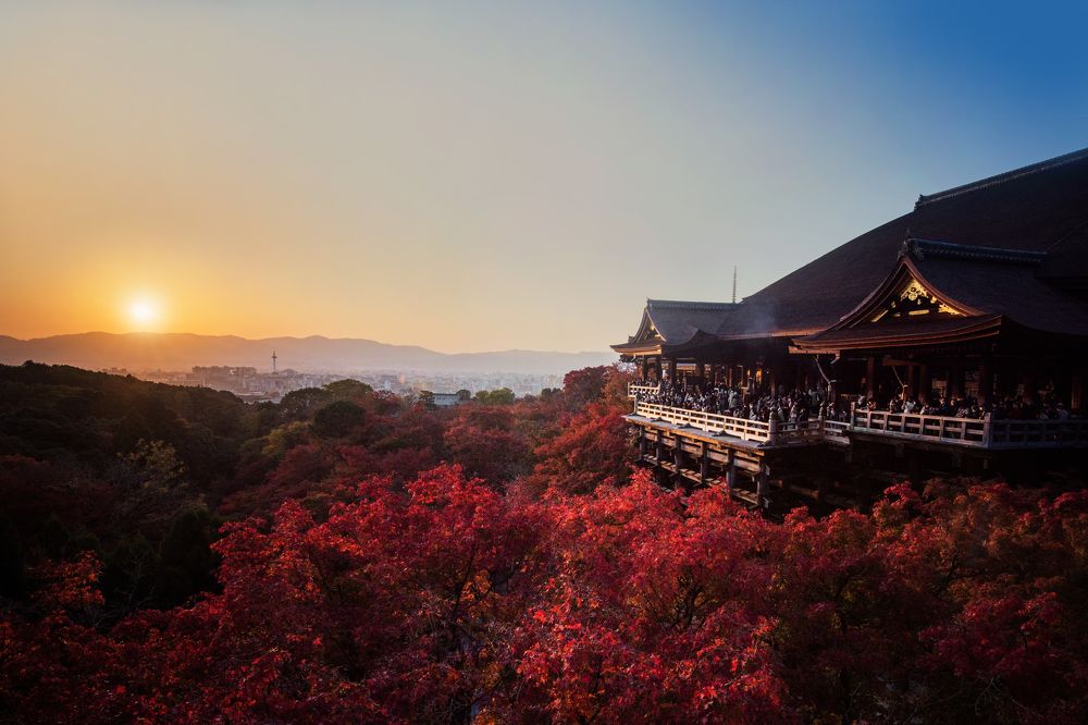 Photograph by mypure heart