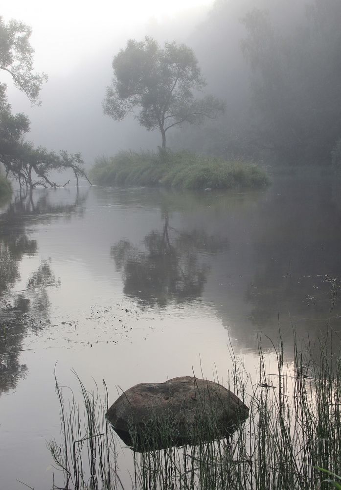 Photograph by Суетинов Евгений