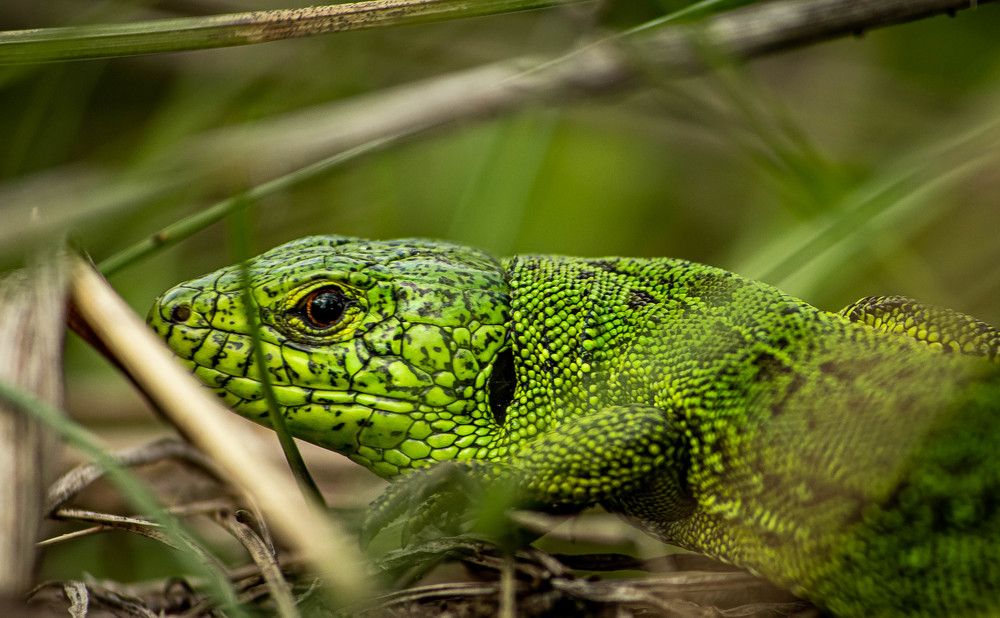 Photograph by Мария Агейкина