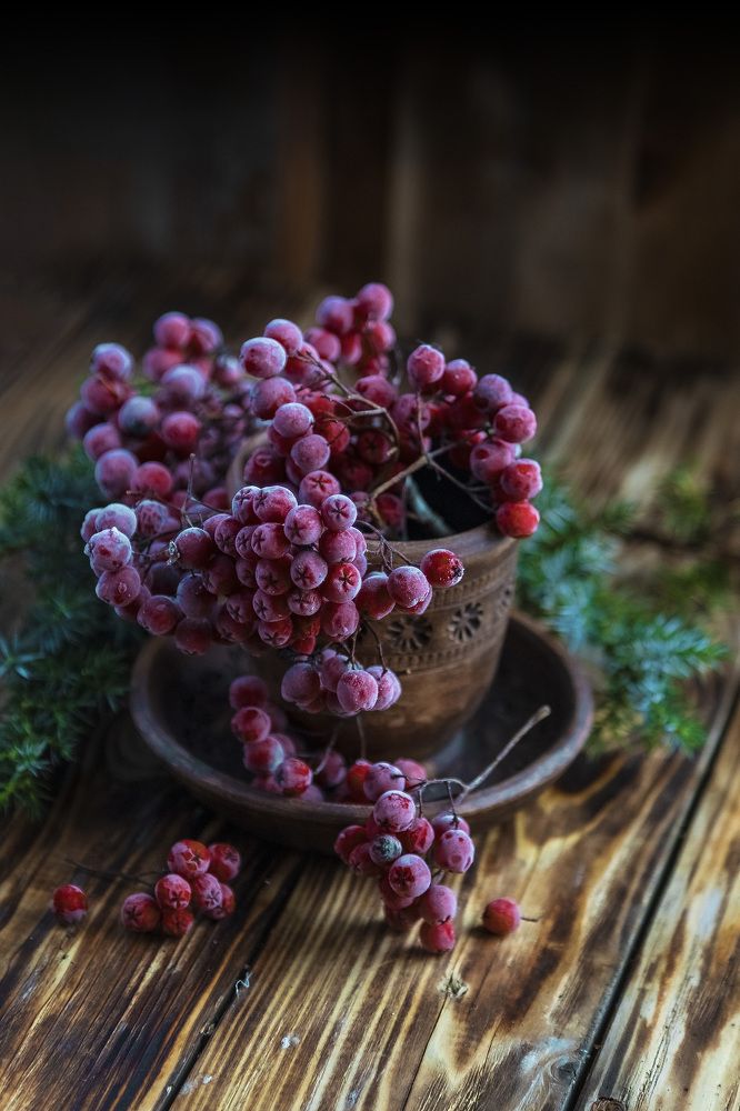 Photograph by Александр Игнатьев