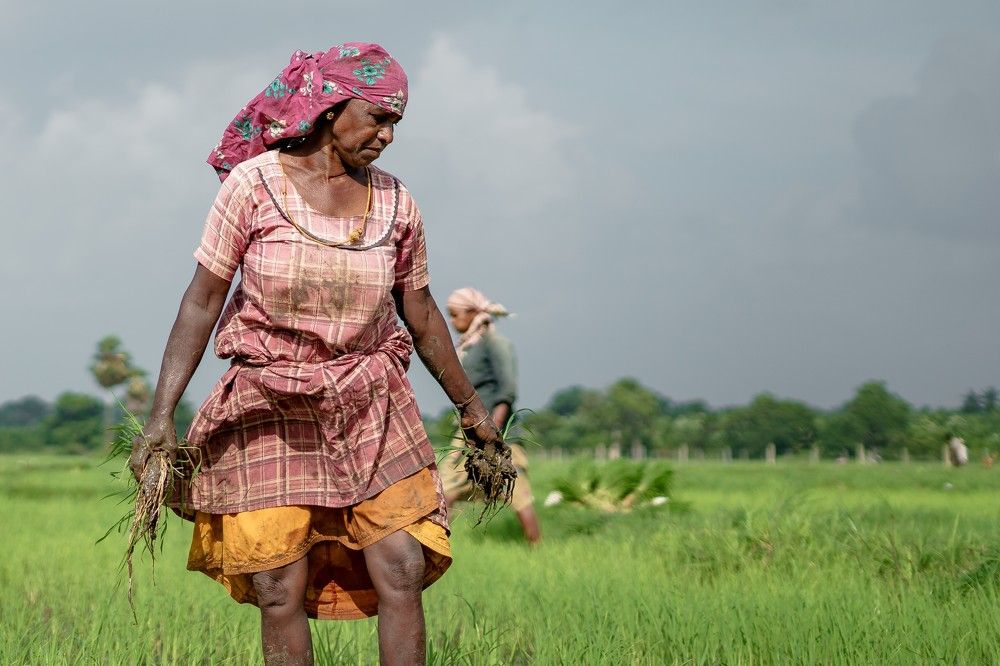 Photograph by Chrishoban Murugupillai