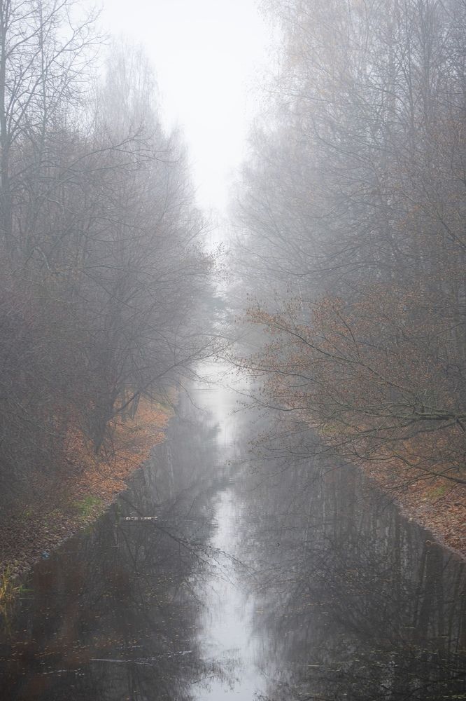 Photograph by Артём Тюменцев