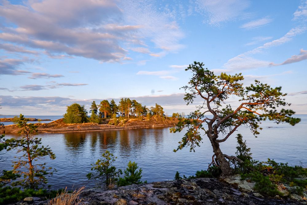 Photograph by Анастасия Молчанова
