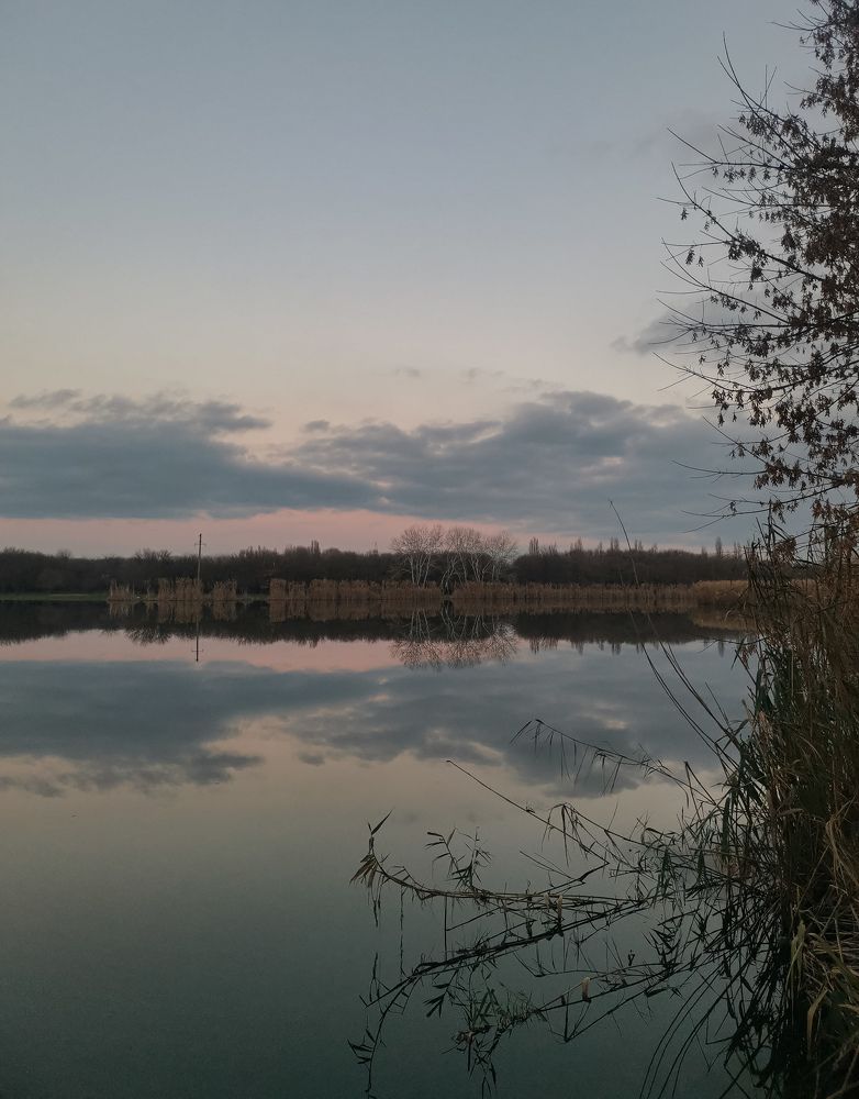 Photograph by Анастасия Молчанова