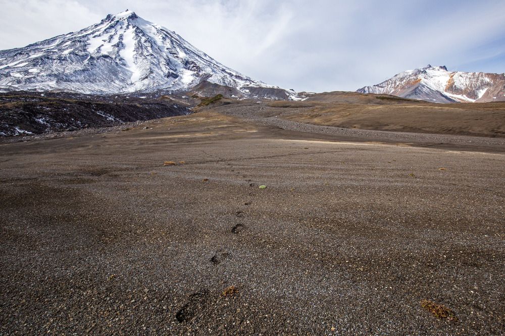 Photograph by Елена Хорохорина