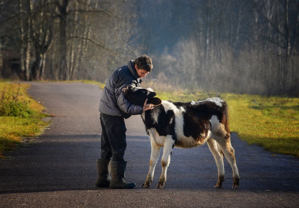 Photograph by Лариса Петрова
