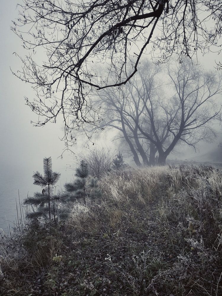 Photograph by Ирина Коновалова