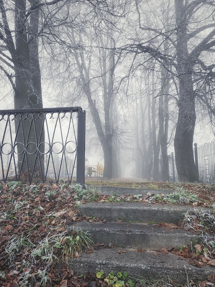 Photograph by Ирина Коновалова