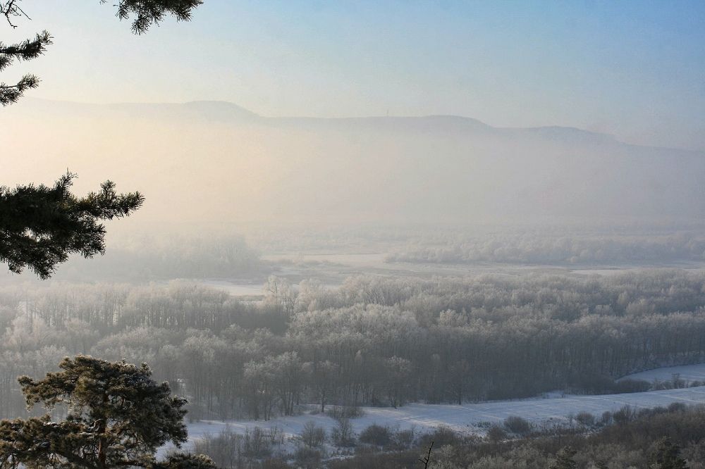 Фотография автора Татьяна Шебаршенко