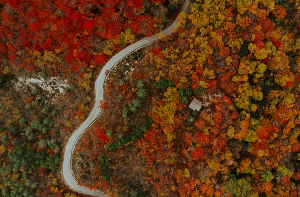 Photograph by Ernest Mazarekić