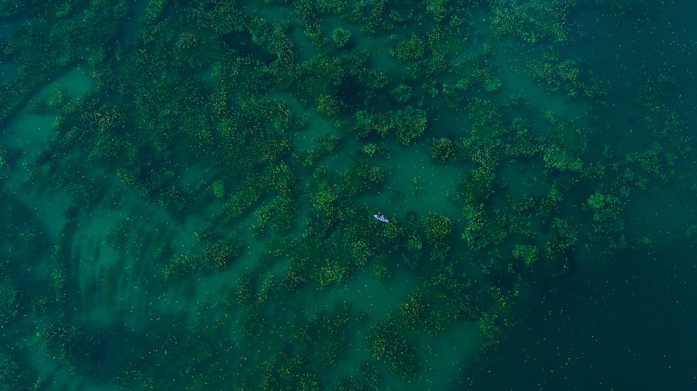 Photograph by Ernest Mazarekić