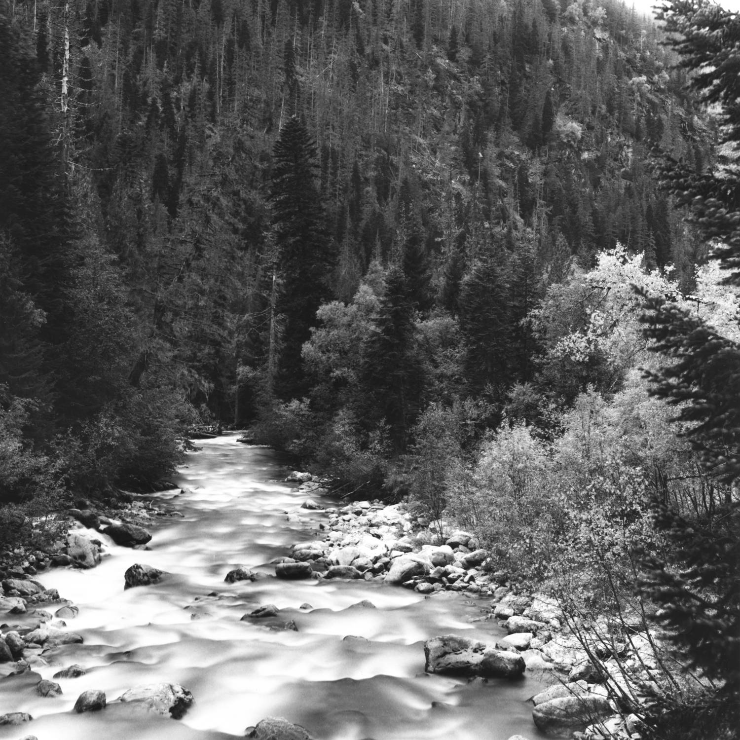 Photo #6789202
