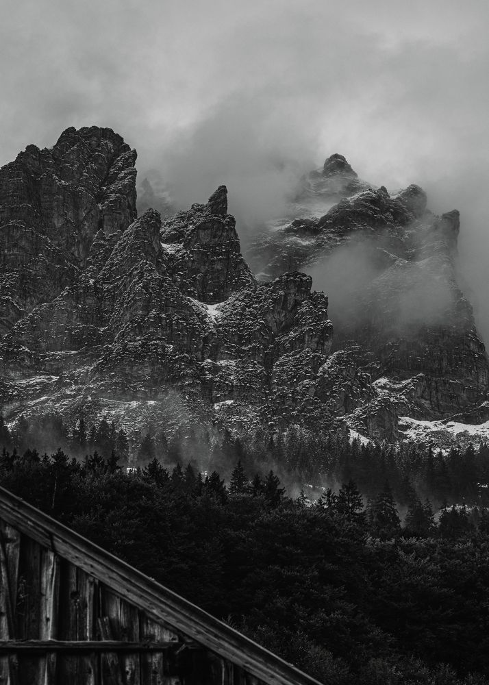 Photograph by Дмитрий Рябцев