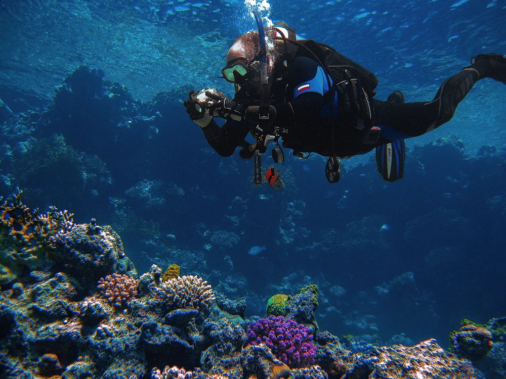 Photograph by Константин Осипов